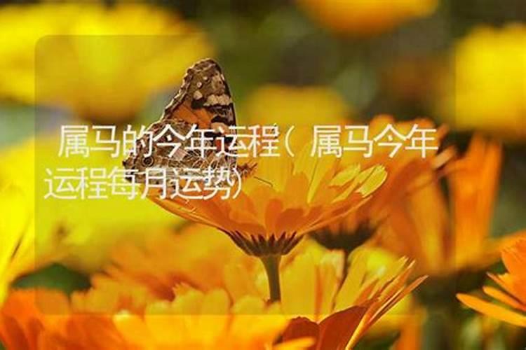 家里财库位置摆放什么家里财库位置摆放什么东西