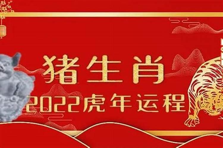 猪年哪个时辰出生最好 卯时出生官运亨通？