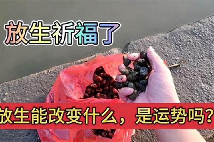 属龙婚姻不顺怎么去破解