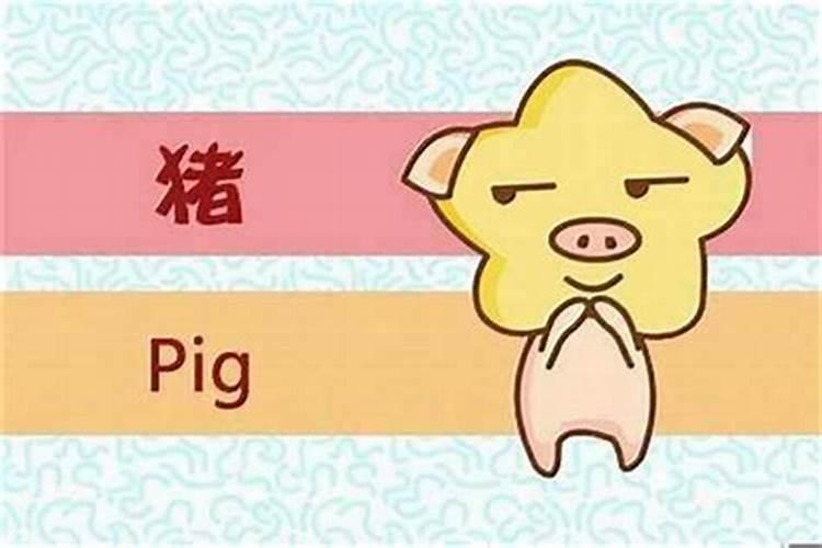 95年农历腊月初三中午十一点多出生是什么命
