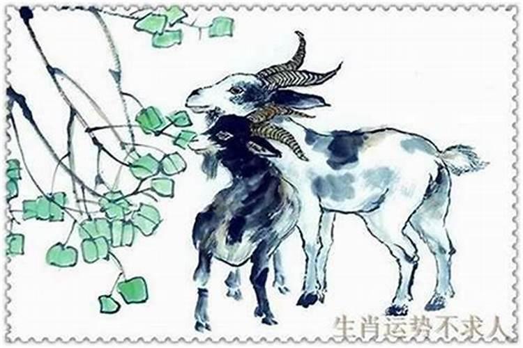 2002年属马人2025年运程