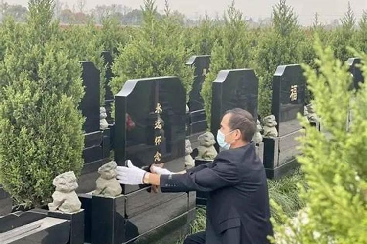 已酉丑是什么意思？？