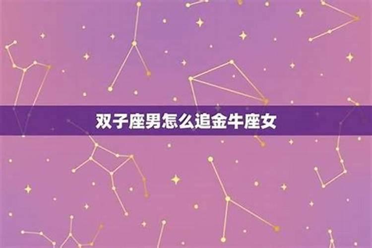 如何追到双子座男生