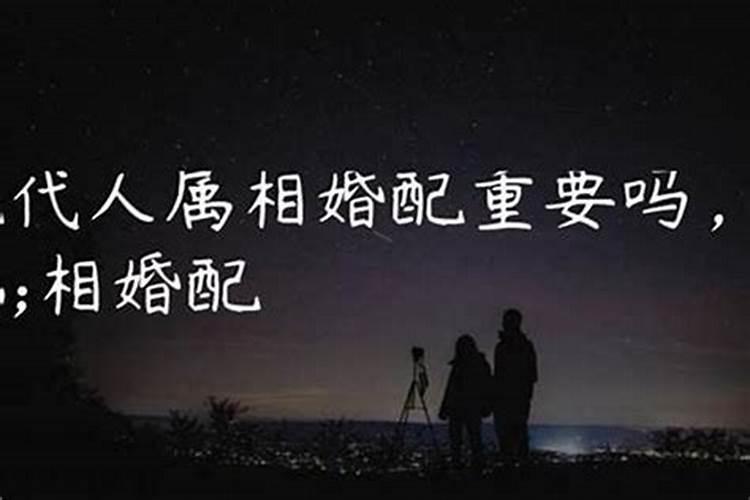 男属鼠和女属狗合不合？