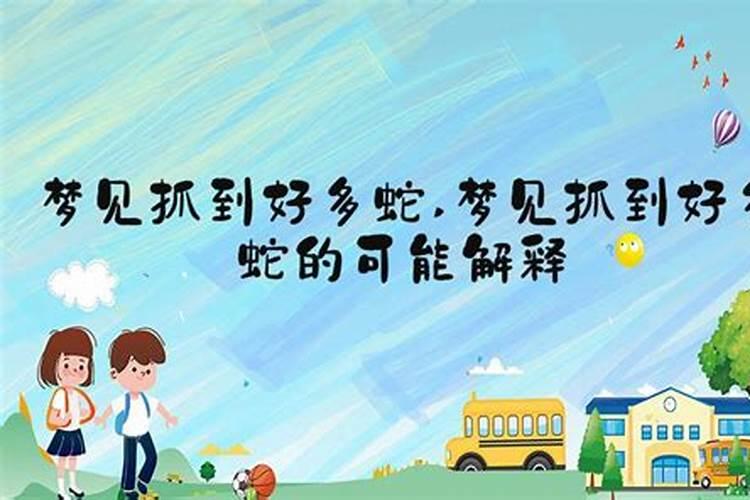 十二属相婚配表相克 相刑相害相冲都是谁？