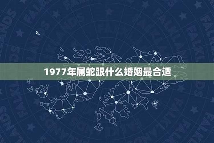 96属鼠2025年有大喜么