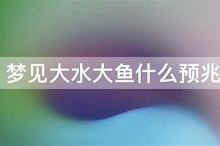 2025年属鼠人的全年运势1996出生