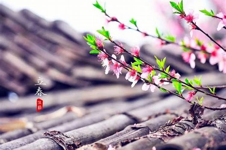 立春在春节前和春节后有什么说法