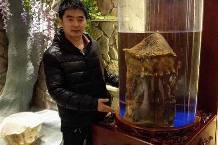 发现太岁可以带回家吗？