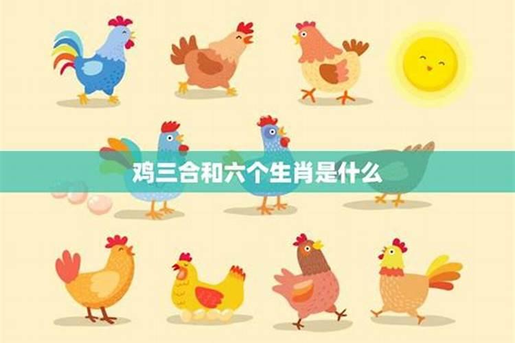 梦见衣服沾牛粪是什么意思