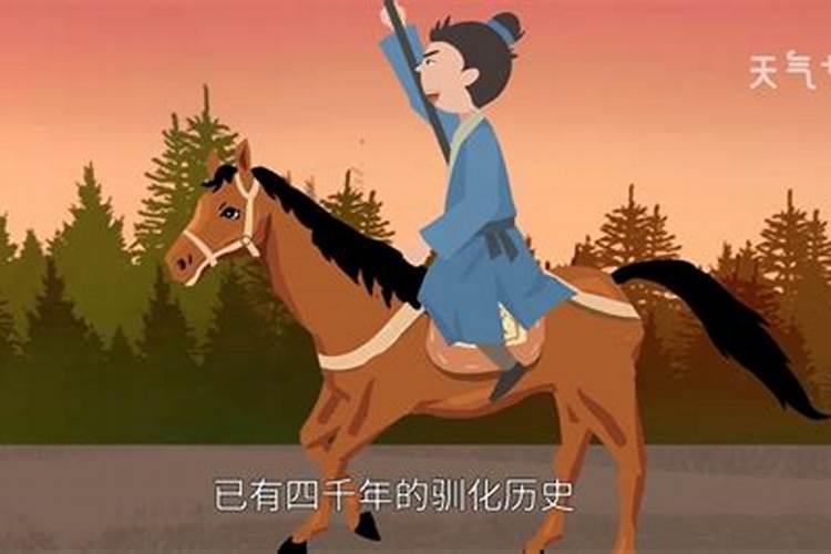 梦见很多马是什么预兆,女人做梦梦见马是什么意思