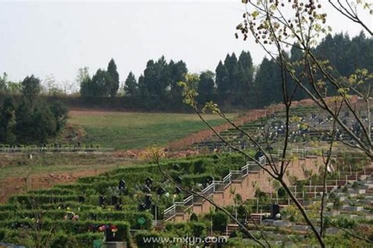 属兔本命年佩戴什么吊坠 佩戴本命佛可逢凶化吉