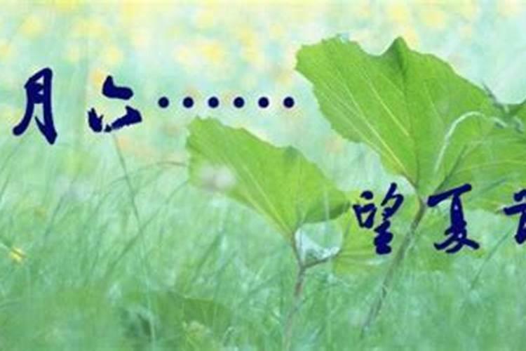 六月六是什么日子 六月六的由来介绍