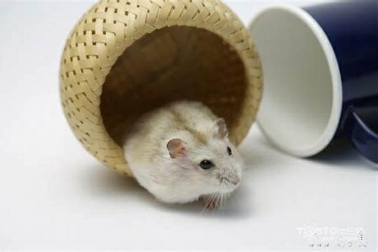 孩子住校请文昌塔有用吗