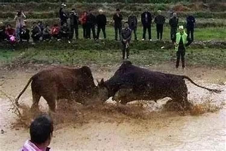 辽阳在冬天最冷是零下几度啊？