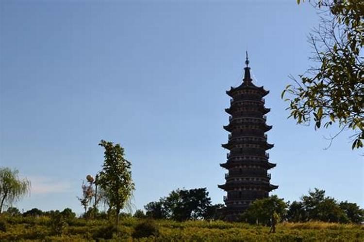 属狗的和什么属相最配、相克
