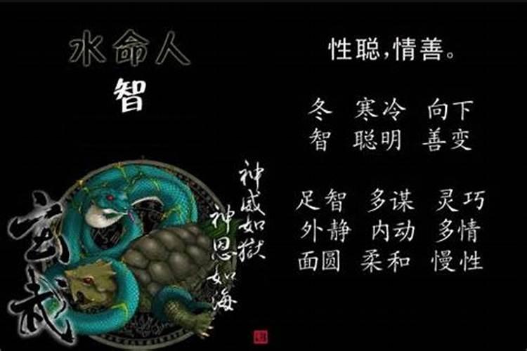 92年属猴的一生命运和财运