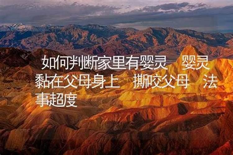 2025年属猪的冲太岁如何化解