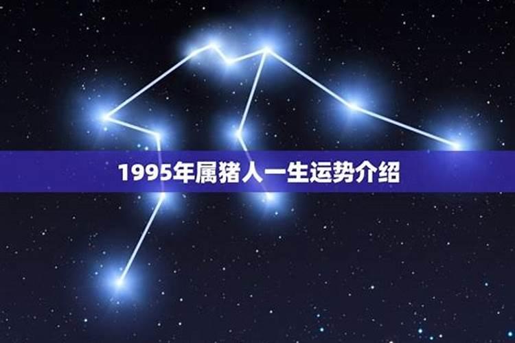 梦见买烤红薯预示着什么？有什么特殊意思？