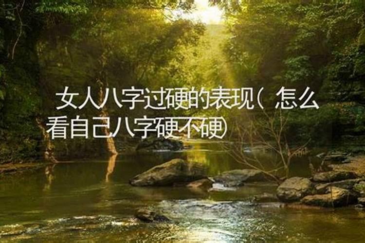 2025年猪1995年运势及运程