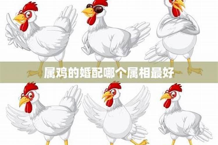 福建冬至吃什么食物