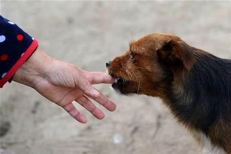 命犯太岁是什么意思 命犯太岁简单介绍