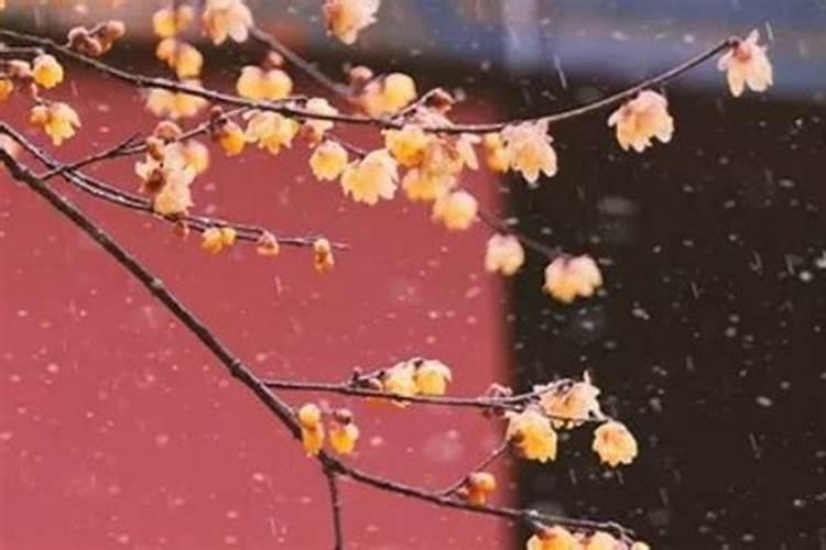 夏至的由来是什么