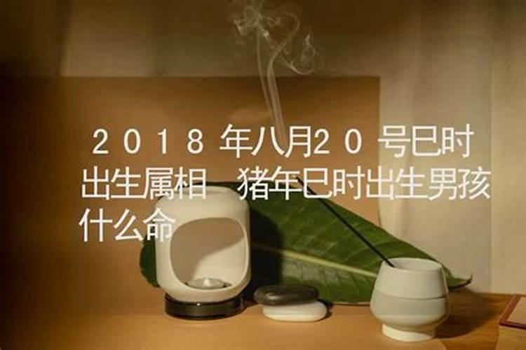 生辰八字查童子命