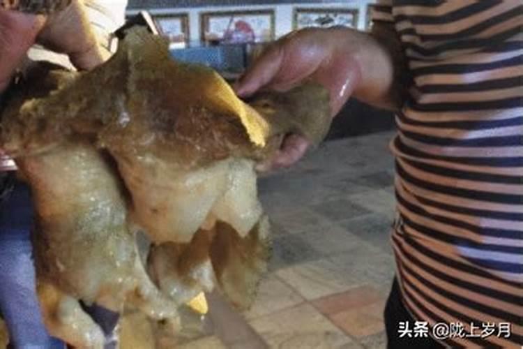 不同月份出生的属羊人婚姻配对