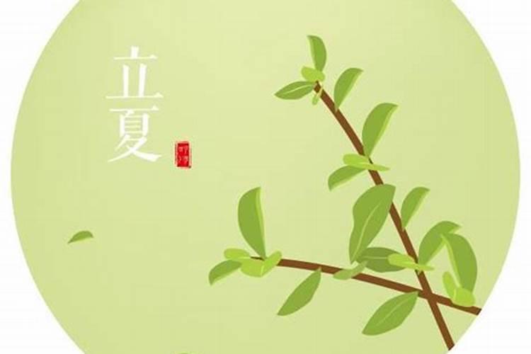 属马和属什么婚配最好