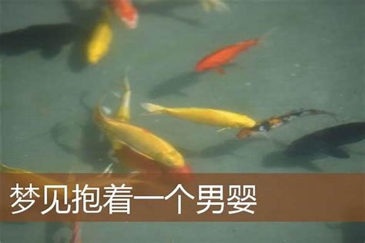 梦见男婴儿死去是什么预兆？
