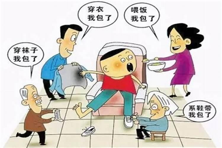 82年的狗2025年运势