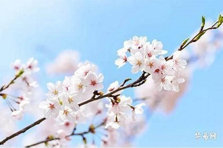 梦见跟死去的哥哥在一起的预兆