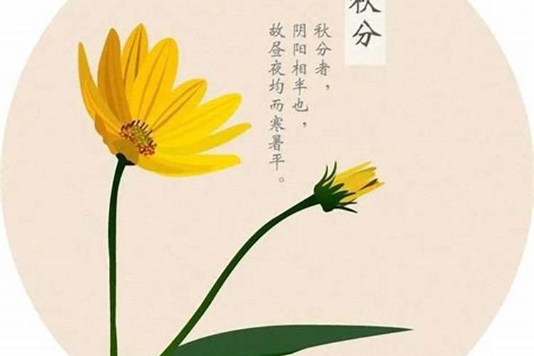 我吵架说理陷害都比不过别人怎么办啊？