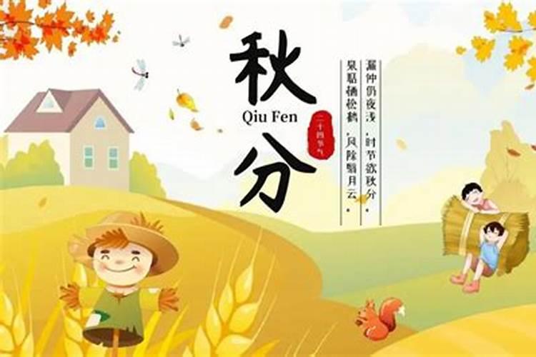 梦到怀孕了女孩流产要离婚