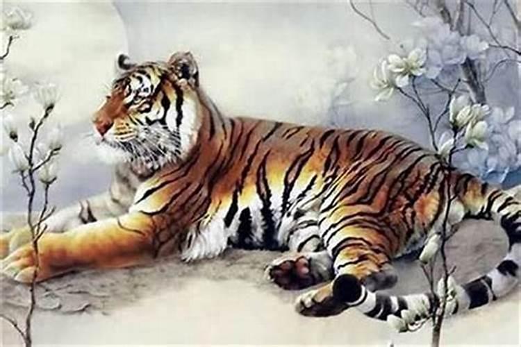 属虎清明节出生的人财源滚滚福禄永在