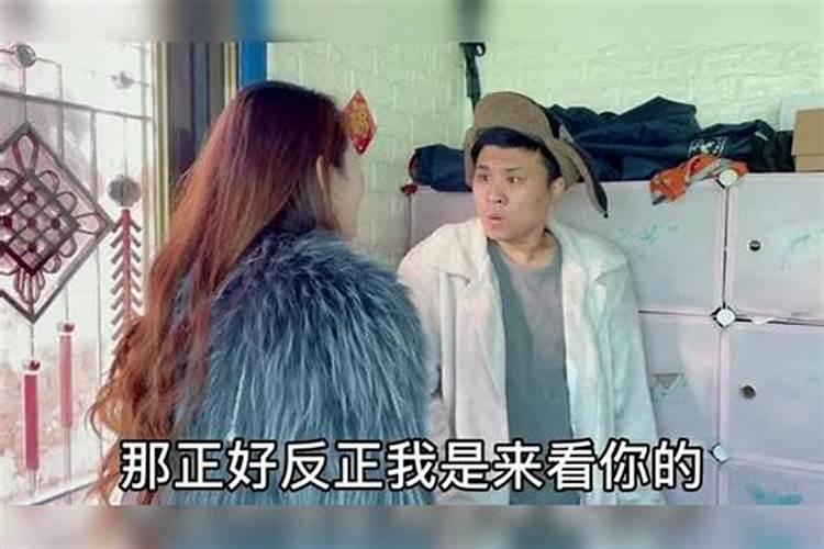 2025属猪人每月运势及运程如何