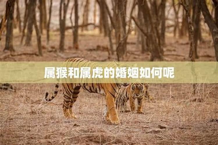 梦见骑车下坡路很陡