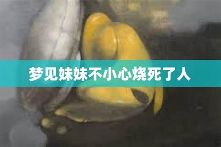 爱情公寓5算姻缘的app,哪些app能免费看爱情公寓