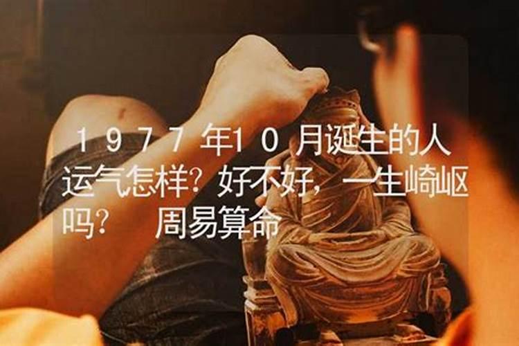 1977年11月11日下午4时出生是什么命