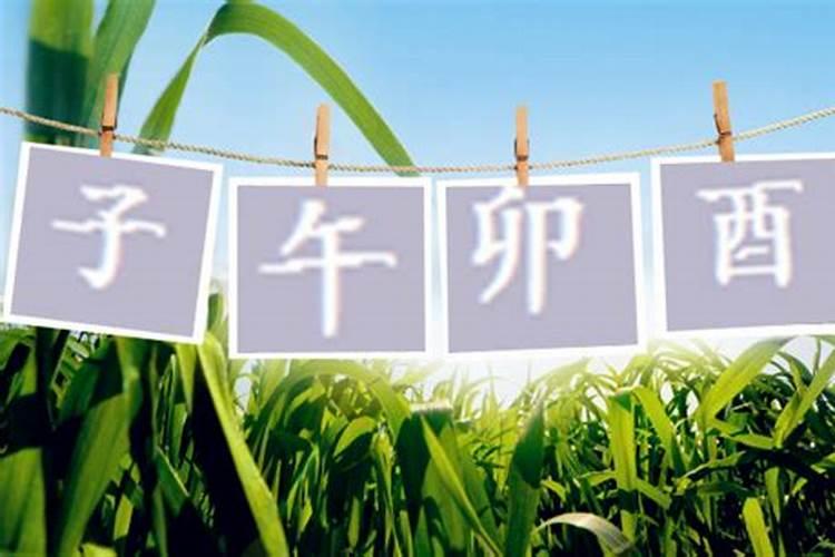 女人梦见蛇的七大预兆？