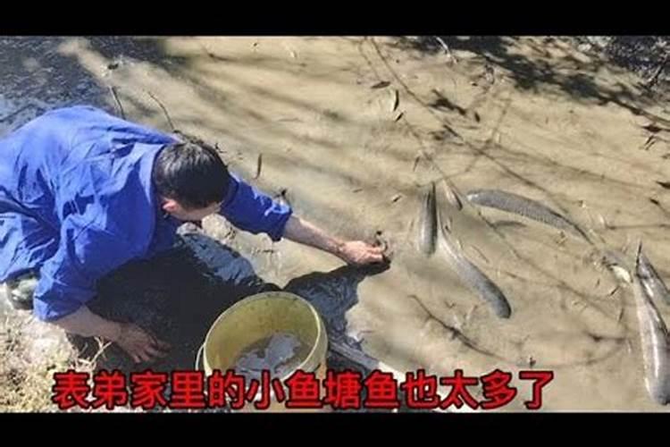 人们长说生辰八字,但算命先生说我出生时是韵年多压了一个字,是九...