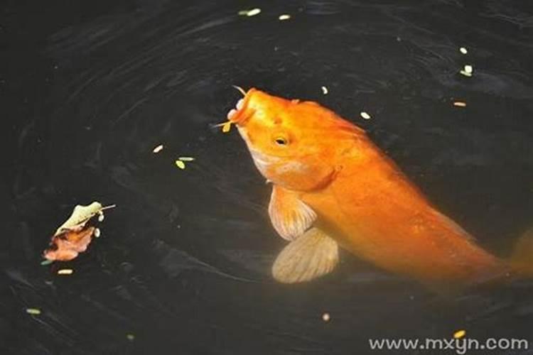 梦见木船在水中行驶
