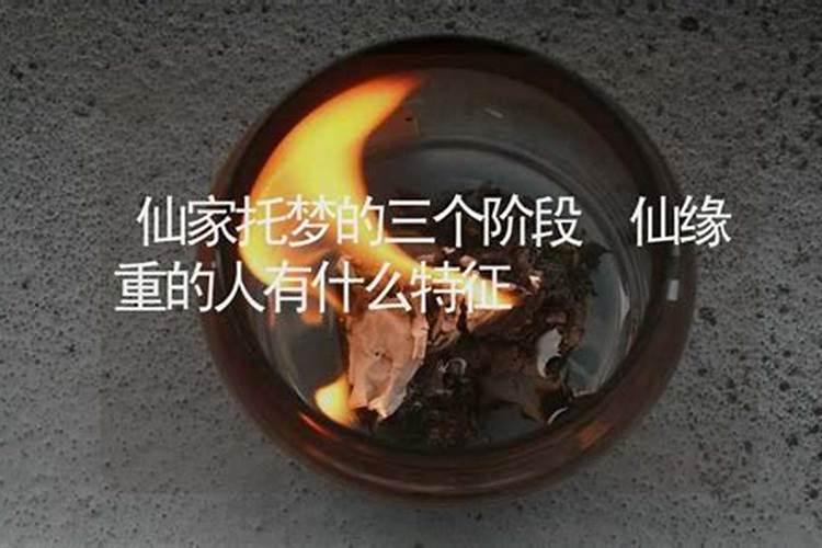 仙女命和花姐命的区别