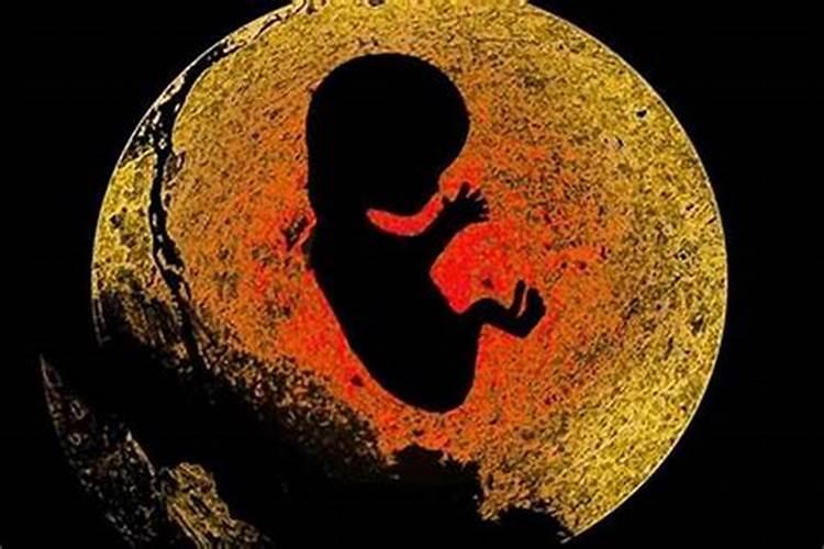 八字无财星怎么看财运八字无财星的男人婚姻