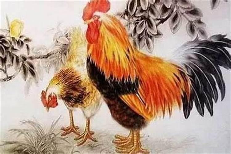 属鸡相合的属相有哪些