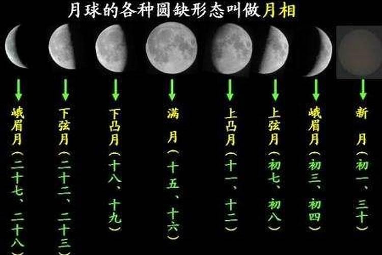 1995年农历三月十五是什么星座的？
