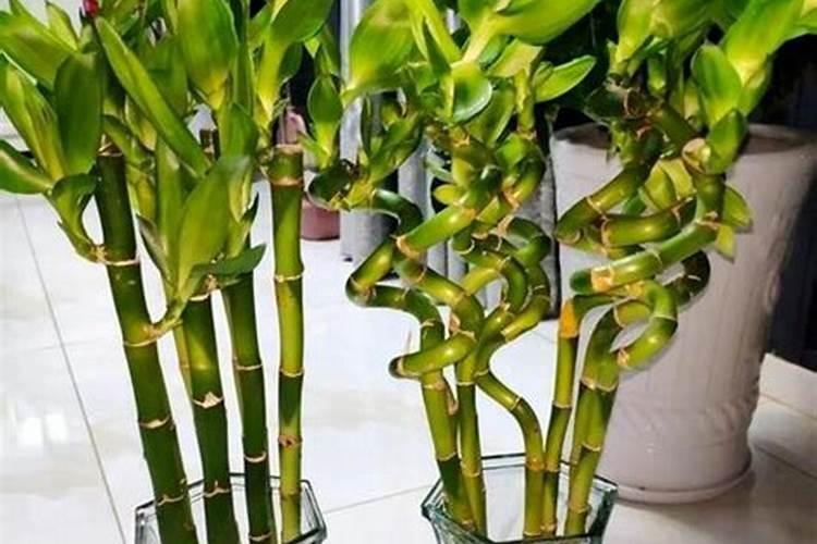 清明节有什么禁忌和规矩