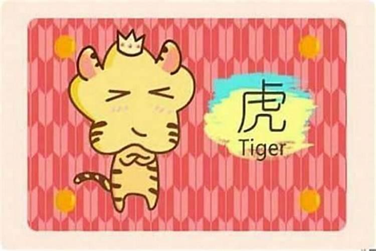属蛇2025本命年运势穿什么颜色衣服