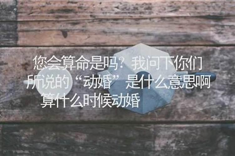 动婚什么意思